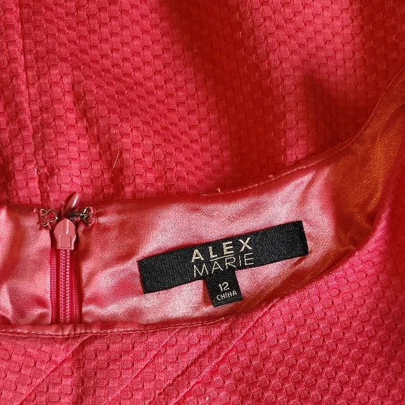 Alex Marie Pink Textured Dress - Picture 3 of 5